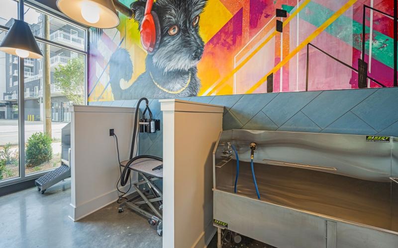 a pet grooming station